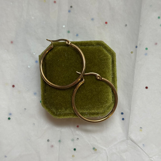 Gold Hoop Earrings