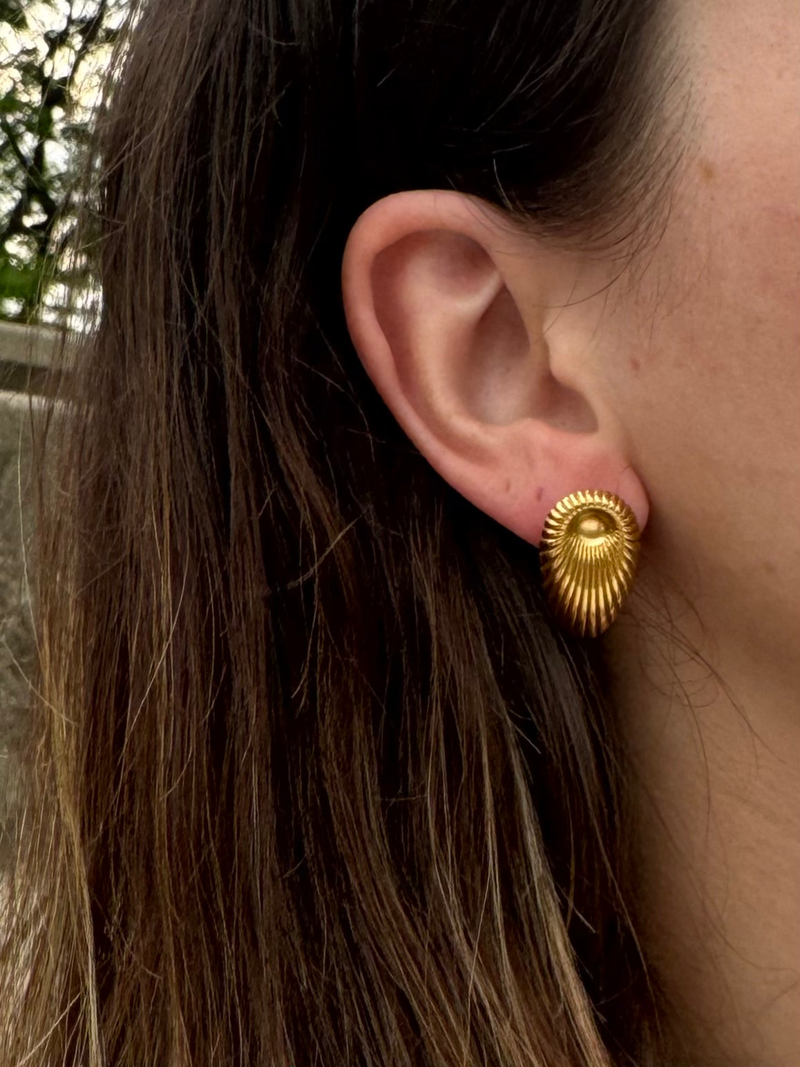 Gold Scallop Teardrop Post Earrings